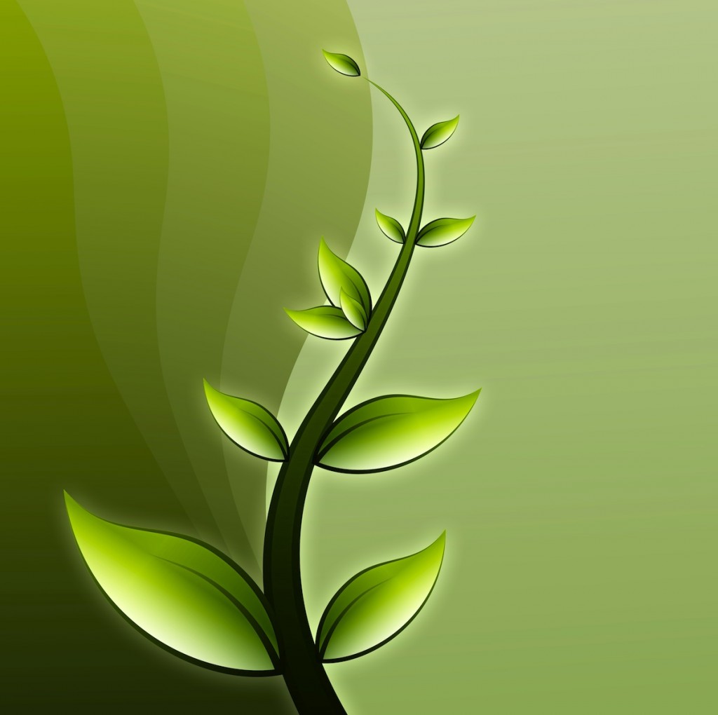 Convention Centers Going Green Trade Show Insights