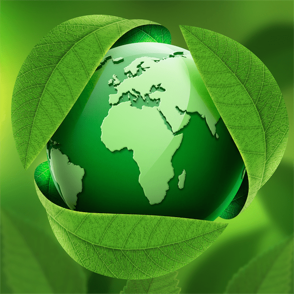 Weekly Insights: Why Going Green Matters